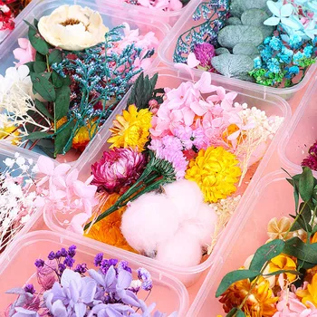 1 Dėžutė Natūralių Džiovintų Gėlių, Augalų, Kvapų Žvakė Namų Dekoro Epoksidinės Dervos Pakabukas Karoliai, Papuošalai Padaryti DIY Priedai