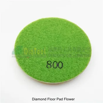 SHDIATOOL 3pcs 100mm #800 deimantų grindų šlifavimo disko Gėlių 4