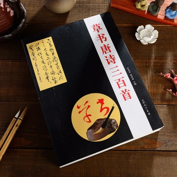 Cursive Scenarijų Teptuku Kaligrafija Copybook Kinijos Klasikinės Poemos Kaligrafija Knygos Nustatyti Tango Eilėraščius Cursive Scenarijų Praktikos Knyga Nuotrauka 2