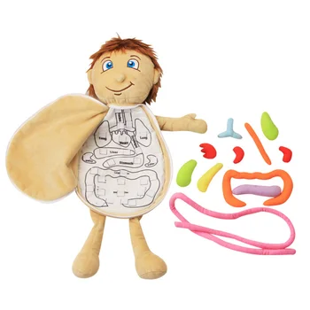Toyplush Vaikai Žmogaus Kūno Ikimokyklinio Ugdymo Švietimo Priemonės, Žaislai, Dėlionės Anatomija Plėtros Intelektinės Mokslo Rinkinį