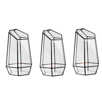 3X Namas Šiltnamio efektą sukeliančių Šešiakampe Stiklo Vaza Mokestis Sodo Mini Mini Kraštovaizdžio