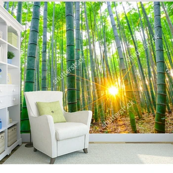 Custom gamtinio kraštovaizdžio tapetai.Bambuko miškų saulėtas,nuotraukos kambarį miegamasis restoranas fono sienos tapetai Nuotrauka 2