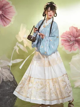 Arklių Veido Sijonas Ming Dinastijos Kinijos Hanfu Moterų Suknelė Austi Aukso Sijonas Kasdienio Stiliaus Arklių Veido Ponis Sijonas Tradicinis Kostiumas Nuotrauka 2