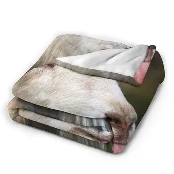 Mados gyvūnų Ožkos 3D spausdintas antklodė lovatiesė antklodė retro patalynės aikštėje iškylą minkšta antklodė Quick Dry Nuotrauka 2