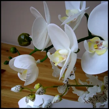 Aukštos modeliavimas rankų darbo ikebana dirbtinė orchidėja, gėlių susitarimus, nekilnojamojo touch latekso orchidėja, gėlininkystė puodą kultūros kostiumai Nuotrauka 2